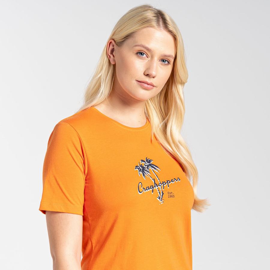 Women's Craghoppers Ally Short Sleeved T-Shirts Orange | PCP4577DS