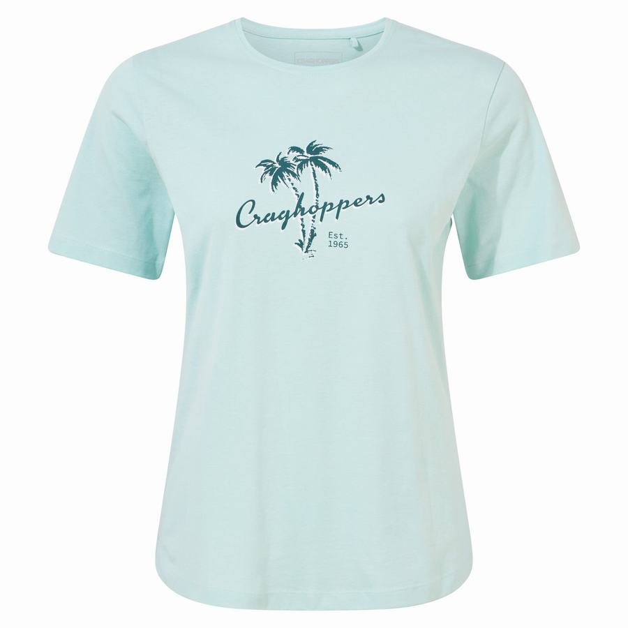 Women's Craghoppers Ally Short Sleeved T-Shirts Green | UXH4982TA