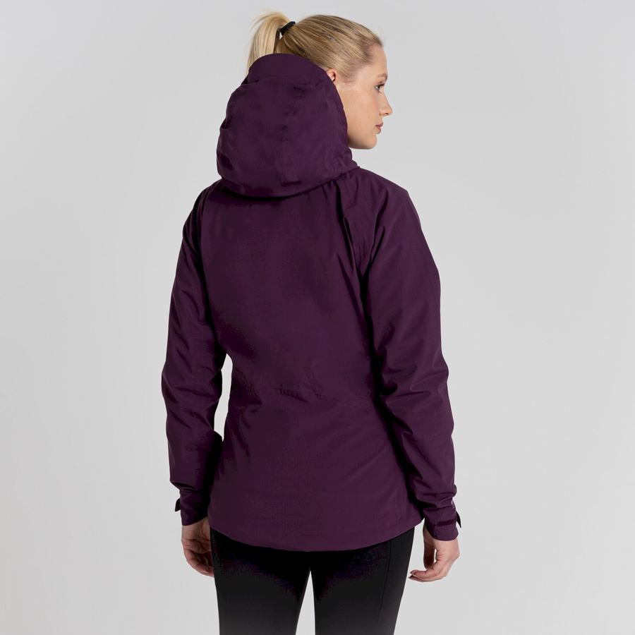 Women's Craghoppers Anza Jackets Purple | XOU988SF