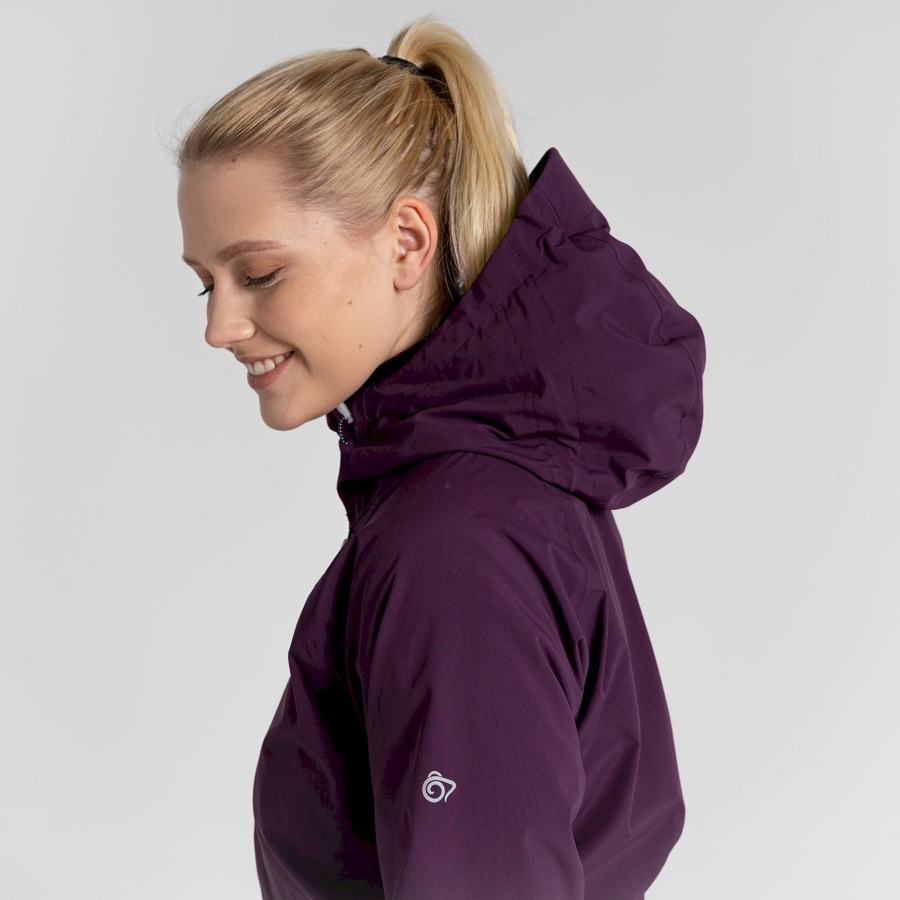 Women's Craghoppers Anza Jackets Purple | XOU988SF