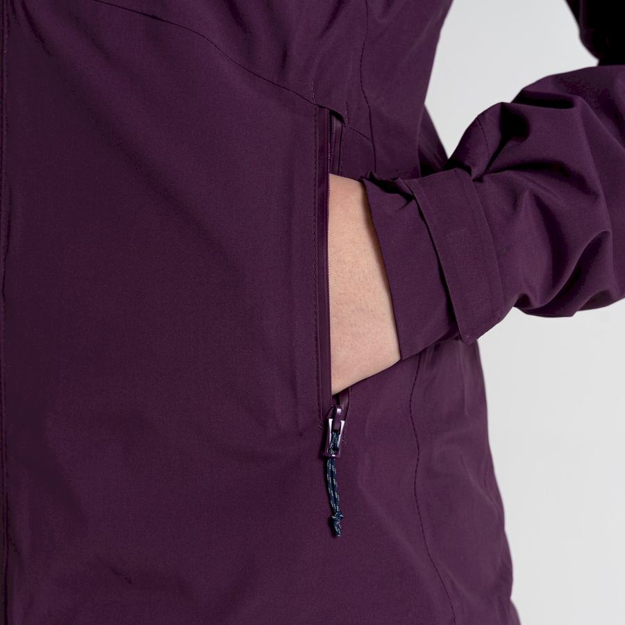 Women's Craghoppers Anza Jackets Purple | XOU988SF