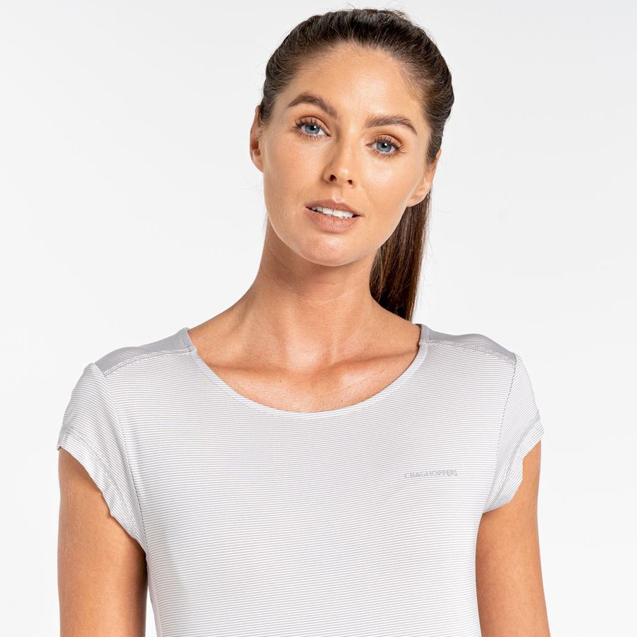 Women's Craghoppers Atmos Short Sleeved T-Shirts Grey | TKM9866TG