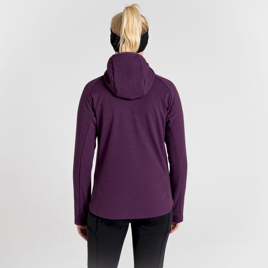 Women's Craghoppers Dynamic Pro Hooded Sweaters Deep Purple | LUZ9883CB