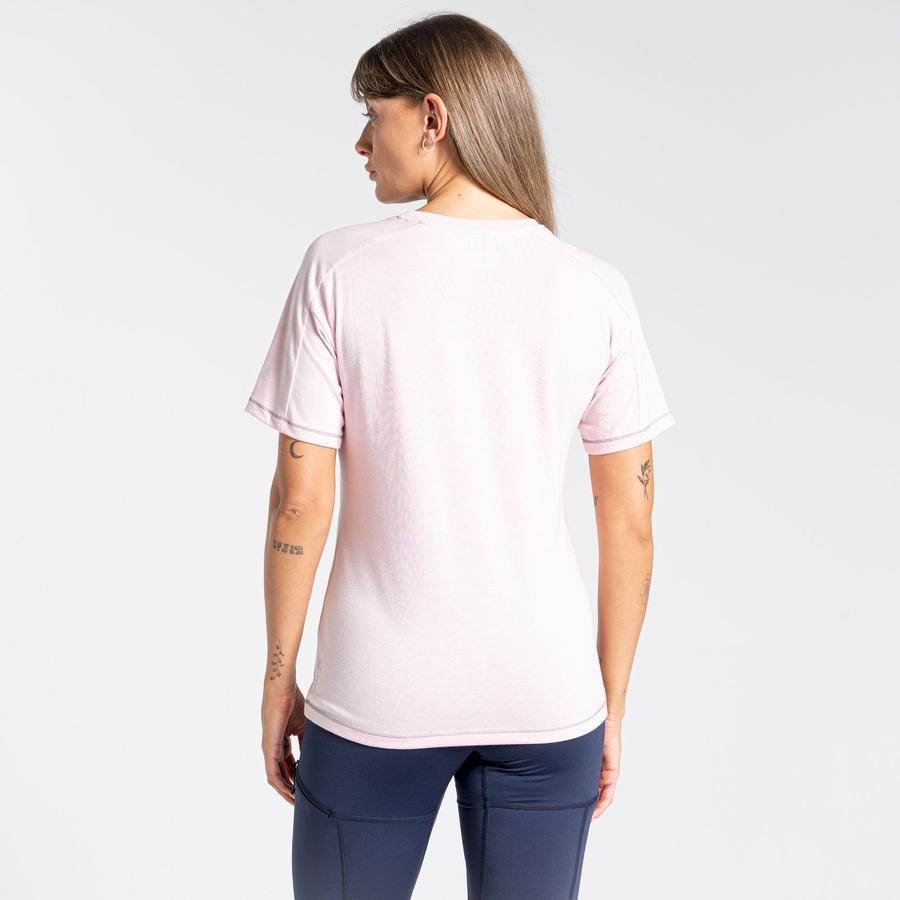 Women's Craghoppers Dynamic Short Sleeved T-Shirts Pink | ZSR1724SA