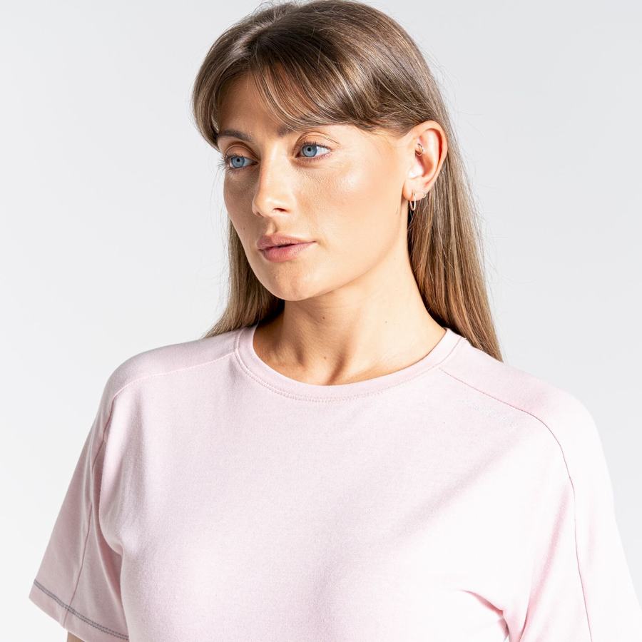 Women's Craghoppers Dynamic Short Sleeved T-Shirts Pink | ZSR1724SA