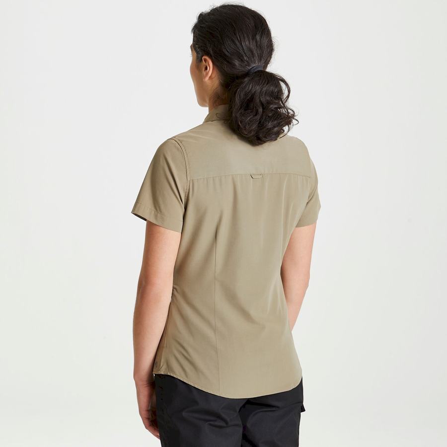 Women's Craghoppers Expert Kiwi Short Sleeved Shirts Khaki | WXF870RW