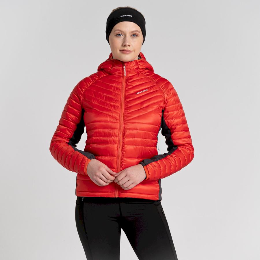 Women's Craghoppers ExpoLite Insulated Hooded Jackets Orange | PIM1458YI