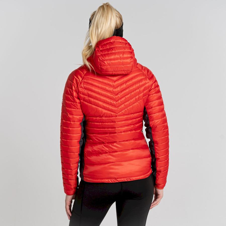 Women's Craghoppers ExpoLite Insulated Hooded Jackets Orange | PIM1458YI