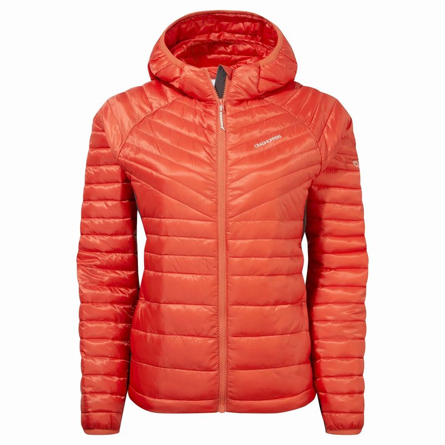 Women\'s Craghoppers ExpoLite Insulated Hooded Jackets Orange | PIM1458YI