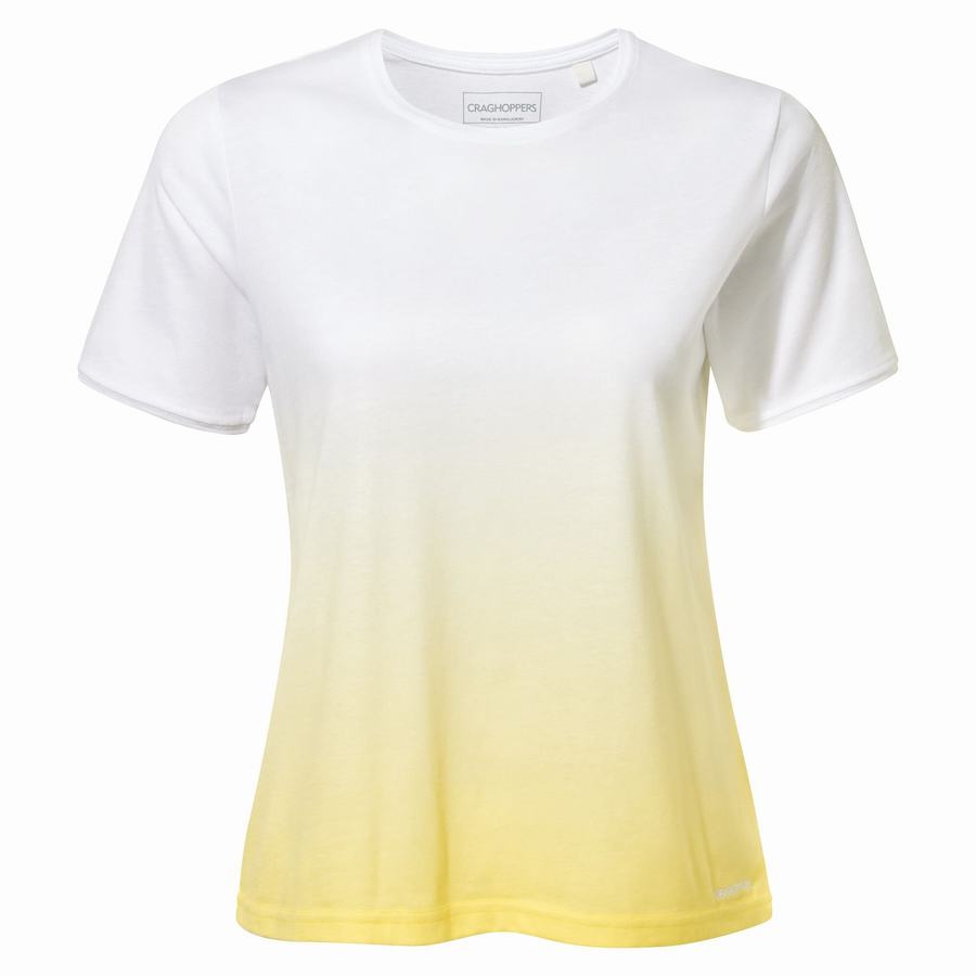 Women's Craghoppers Ilyse Short Sleeved T-Shirts White Yellow | AWL4149FS