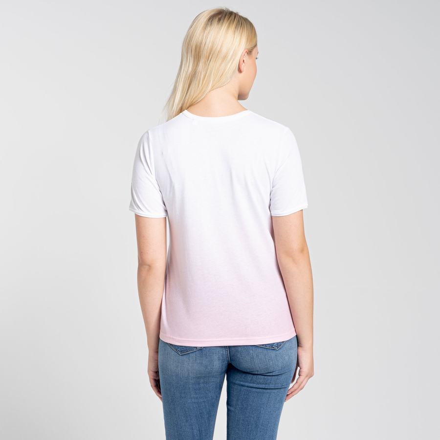 Women's Craghoppers Ilyse Short Sleeved T-Shirts Pink | OHJ789RC