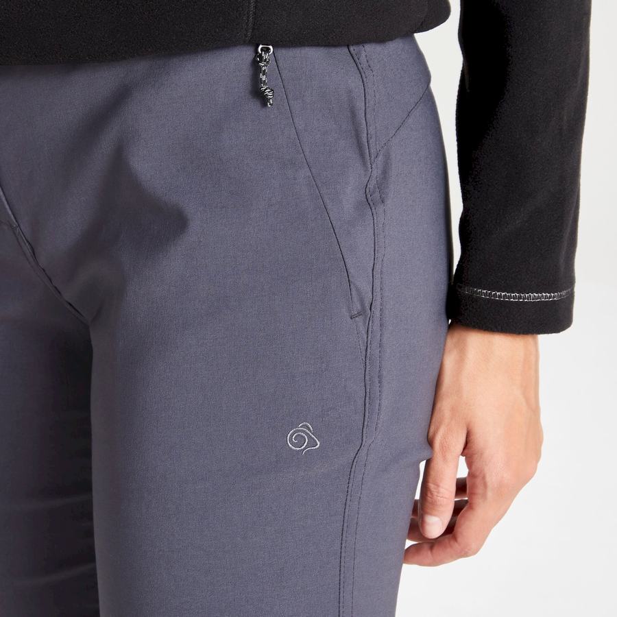 Women's Craghoppers Kiwi Pro II Trousers Deep Grey | NCQ6232DE