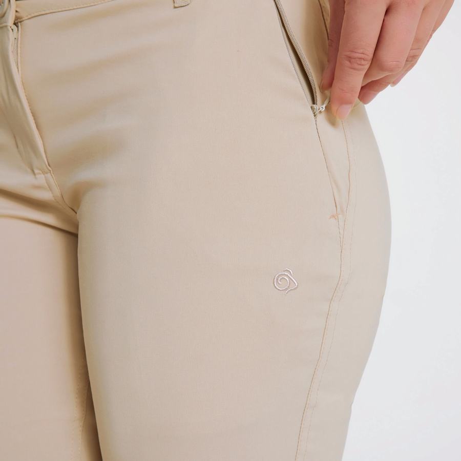 Women's Craghoppers Kiwi Pro II Trousers Brown | SVH24100IK