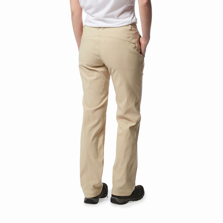 Women's Craghoppers Kiwi Pro II Trousers Brown | YCY6737WW