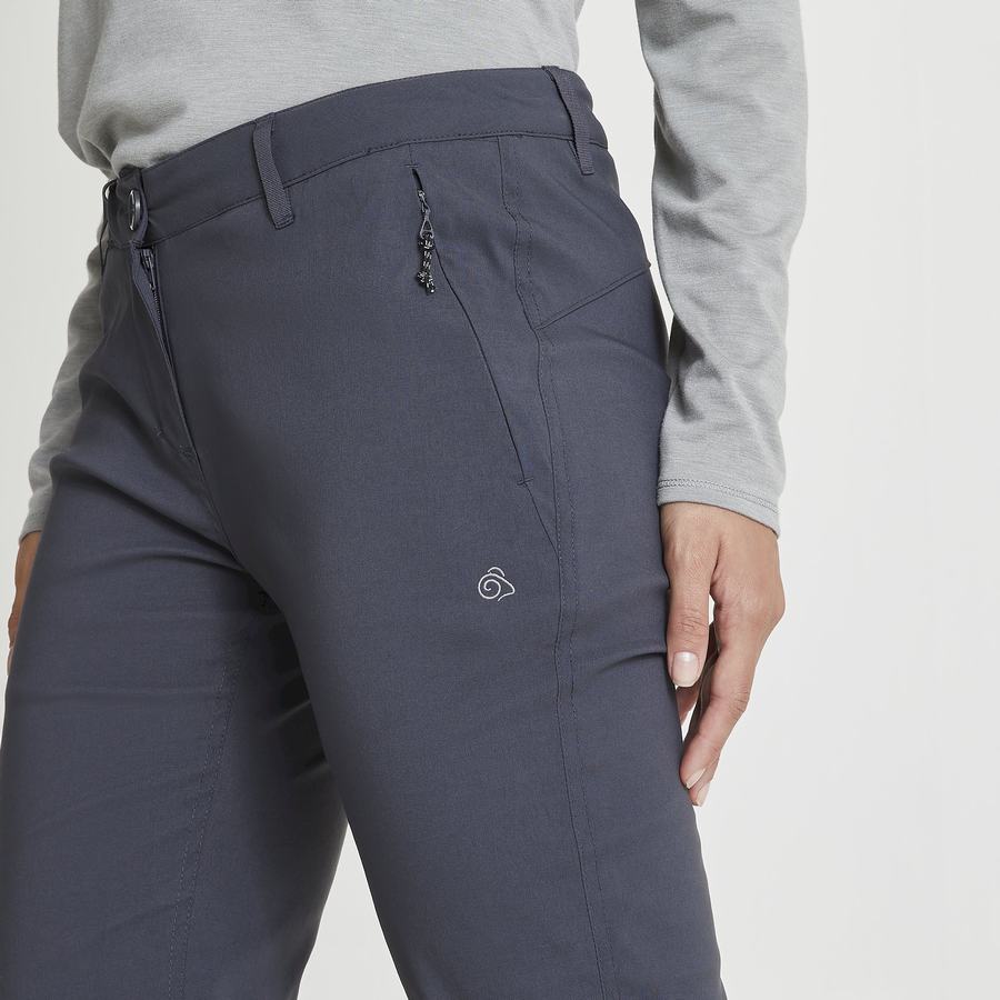 Women's Craghoppers Kiwi Pro II Winter Lined Trousers Deep Grey | YTG157QH