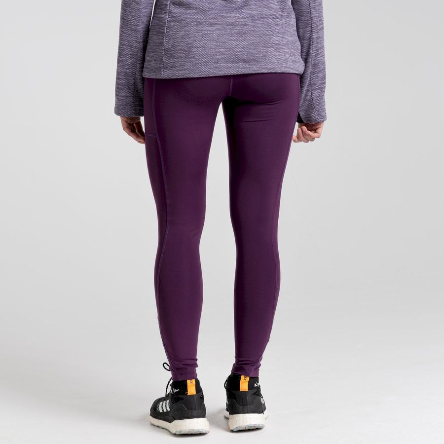 Women's Craghoppers Kiwi Pro Leggings Purple | XSO8550BR