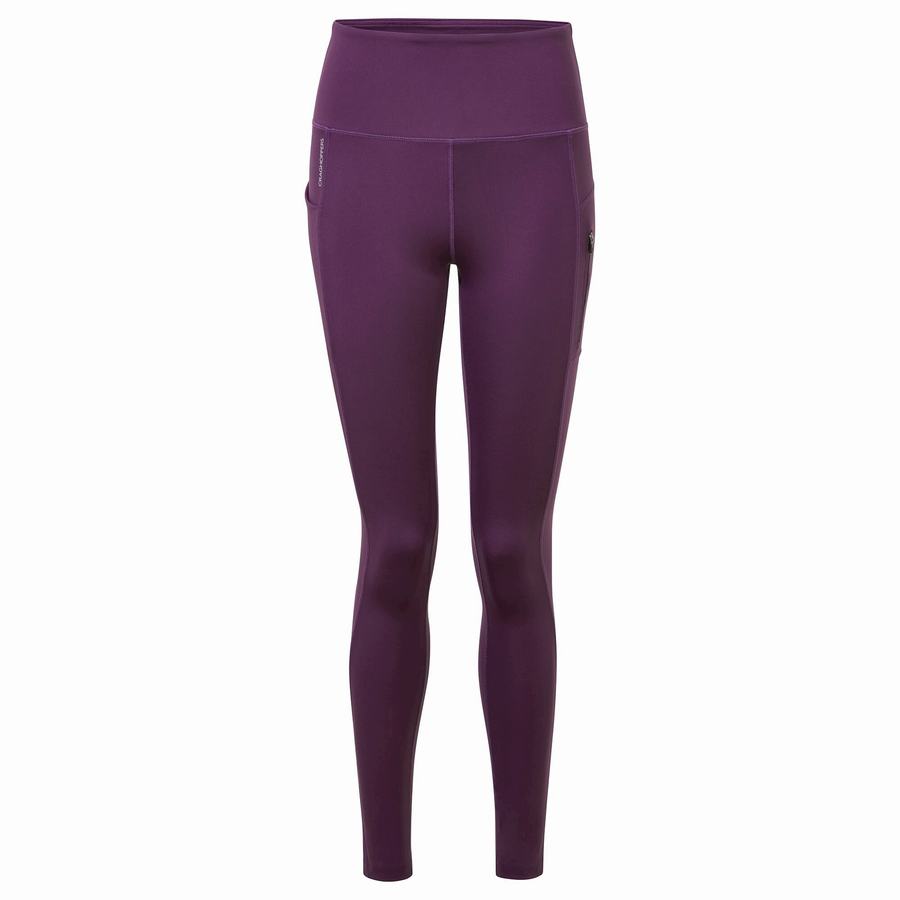 Women's Craghoppers Kiwi Pro Leggings Purple | XSO8550BR