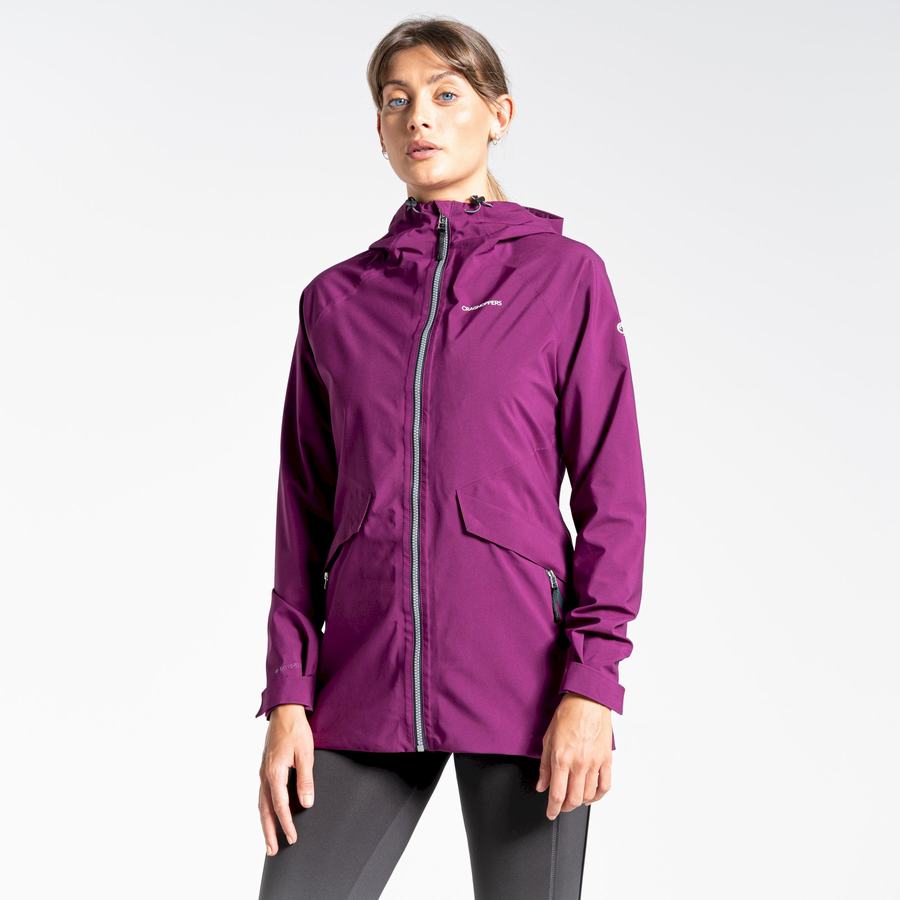 Women's Craghoppers Minola GORE-TEX Jackets Purple | GWL9396QR