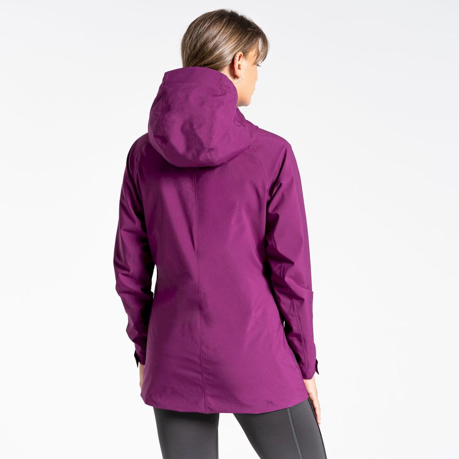 Women's Craghoppers Minola GORE-TEX Jackets Purple | GWL9396QR