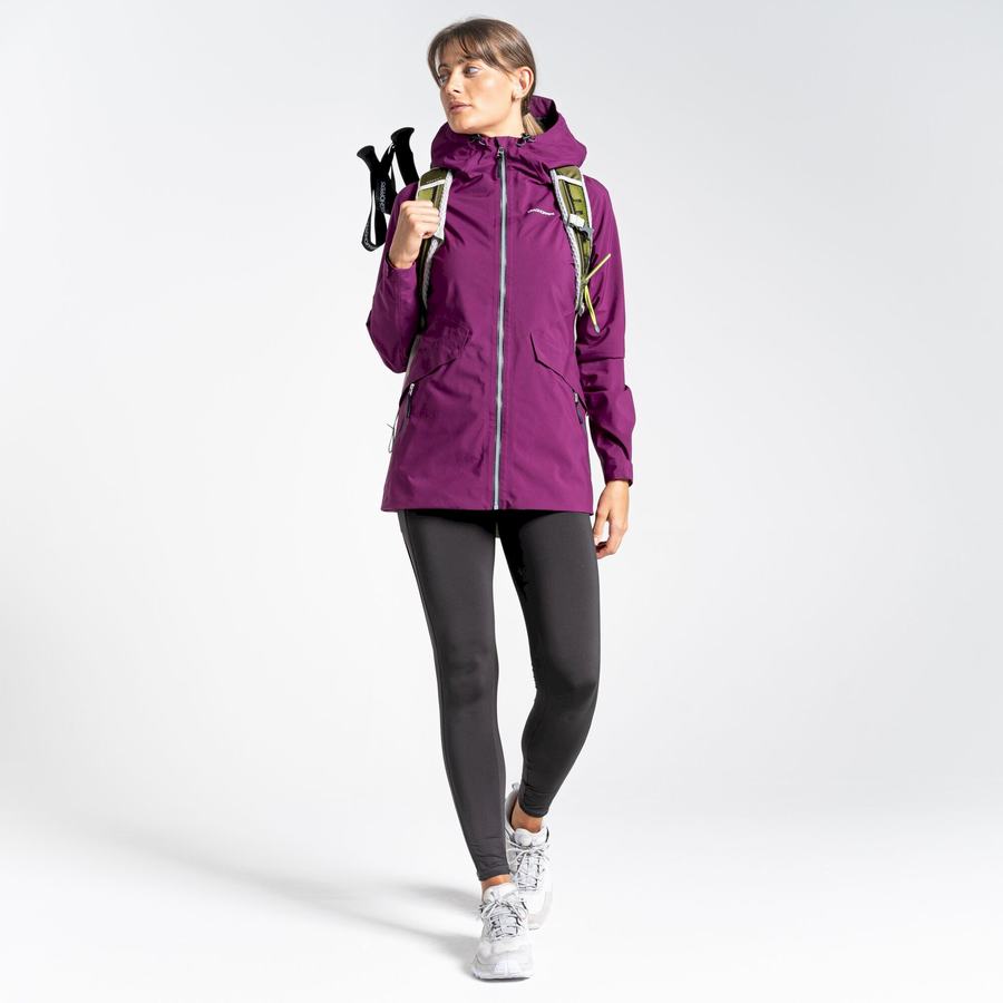 Women's Craghoppers Minola GORE-TEX Jackets Purple | GWL9396QR