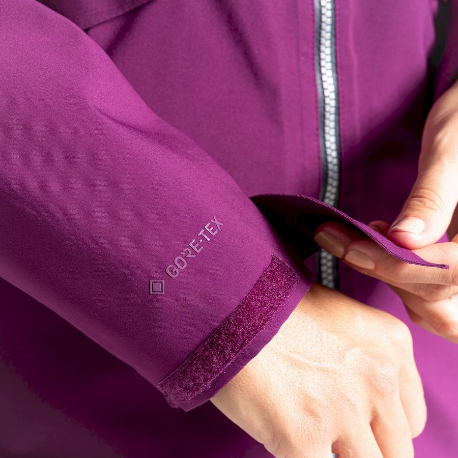 Women's Craghoppers Minola GORE-TEX Jackets Purple | GWL9396QR