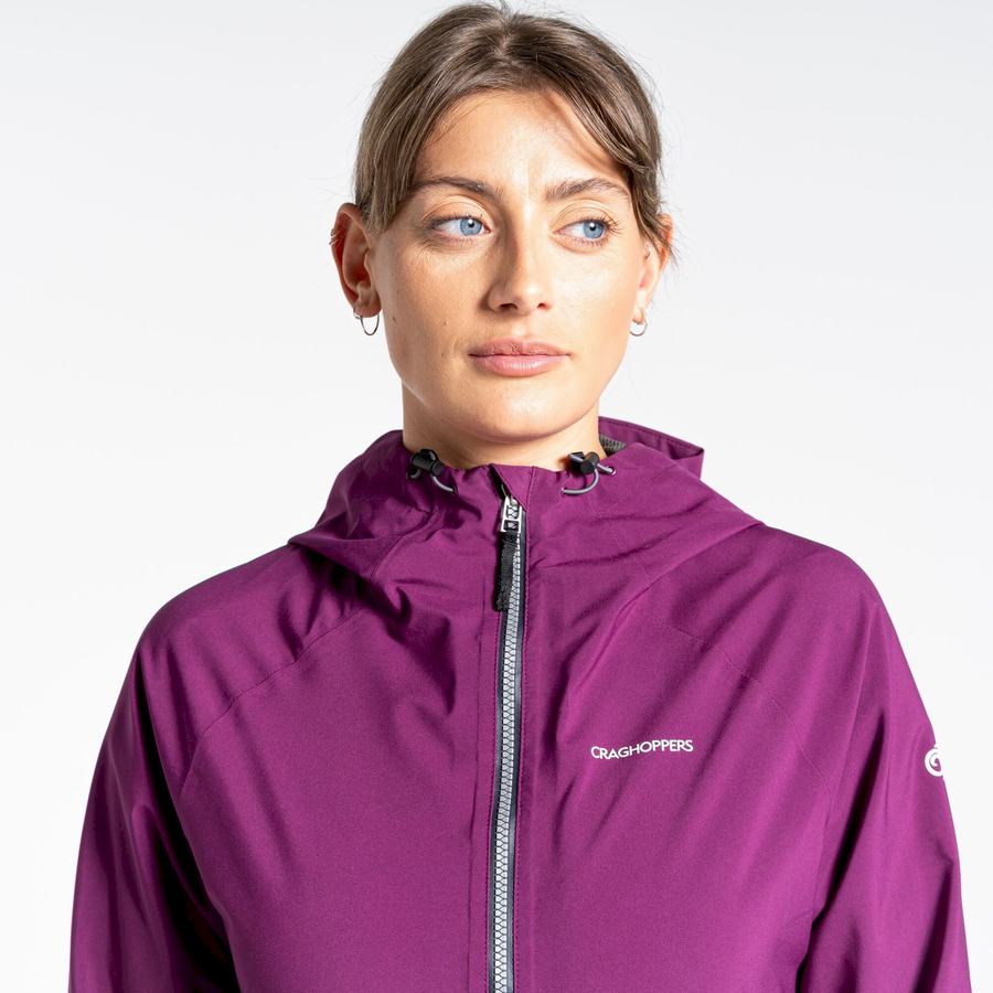 Women's Craghoppers Minola GORE-TEX Jackets Purple | GWL9396QR