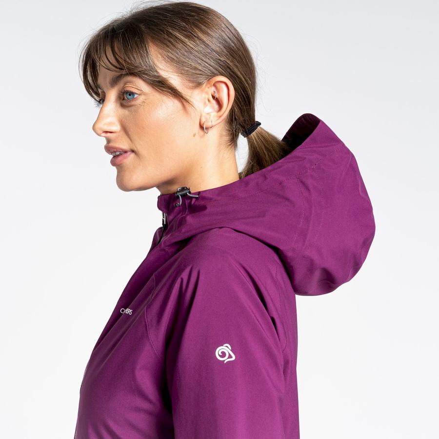 Women's Craghoppers Minola GORE-TEX Jackets Purple | GWL9396QR