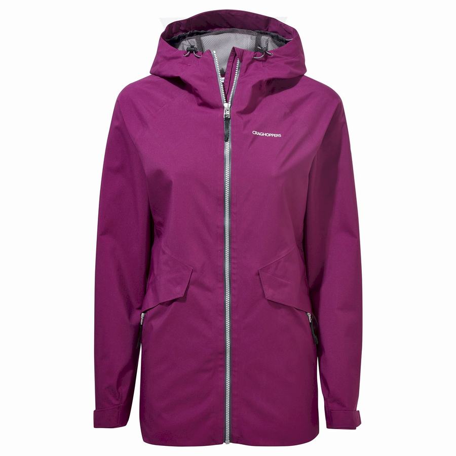 Women\'s Craghoppers Minola GORE-TEX Jackets Purple | GWL9396QR