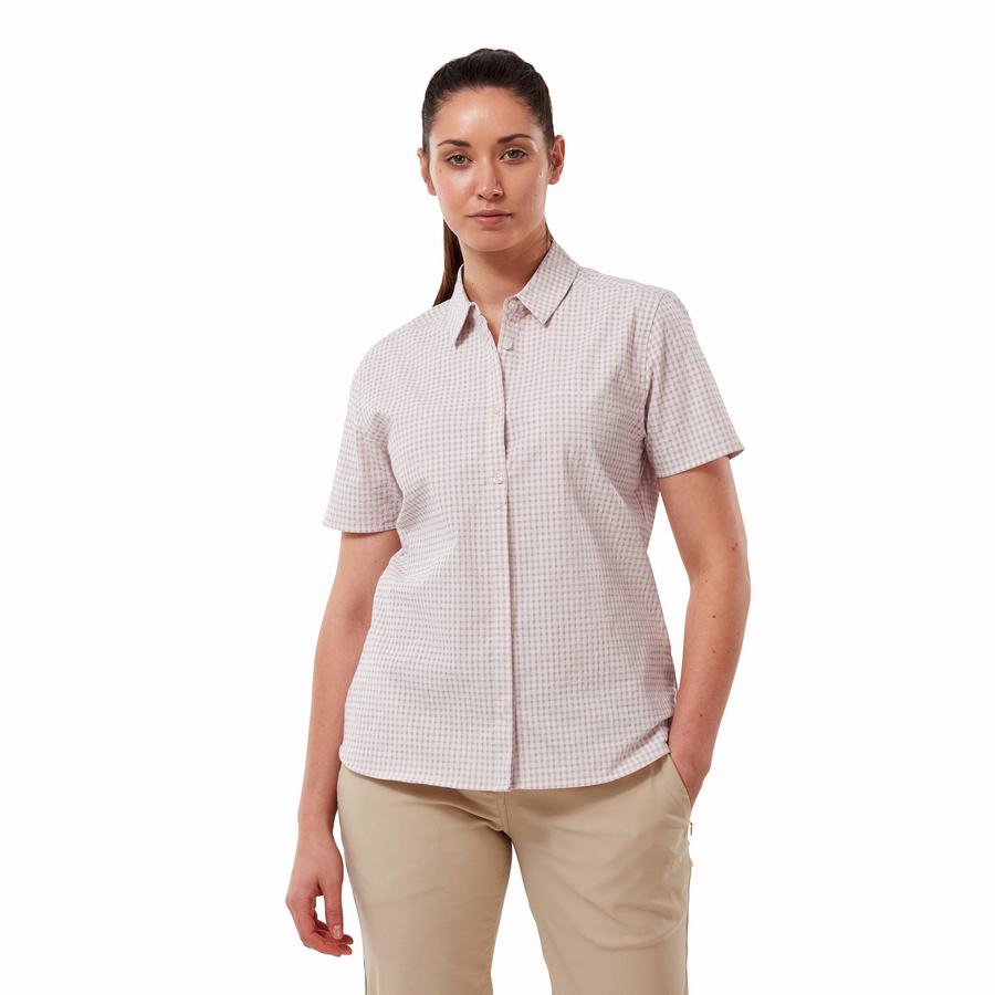 Women's Craghoppers Nasima Short Sleeved Shirts Purple | FDR3125BF