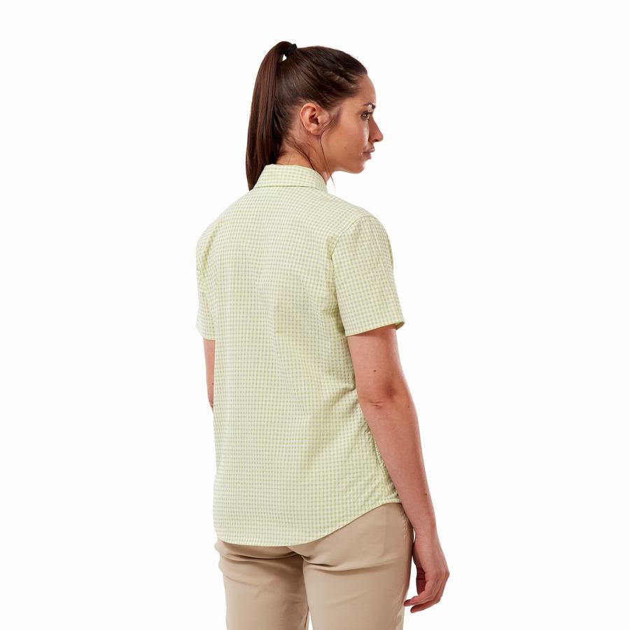 Women's Craghoppers Nasima Short Sleeved Shirts Yellow | IHP1176JC