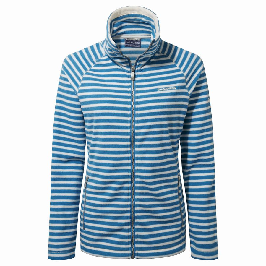 Women\'s Craghoppers Natalia Sweaters Blue Stripes | LGM9678QB