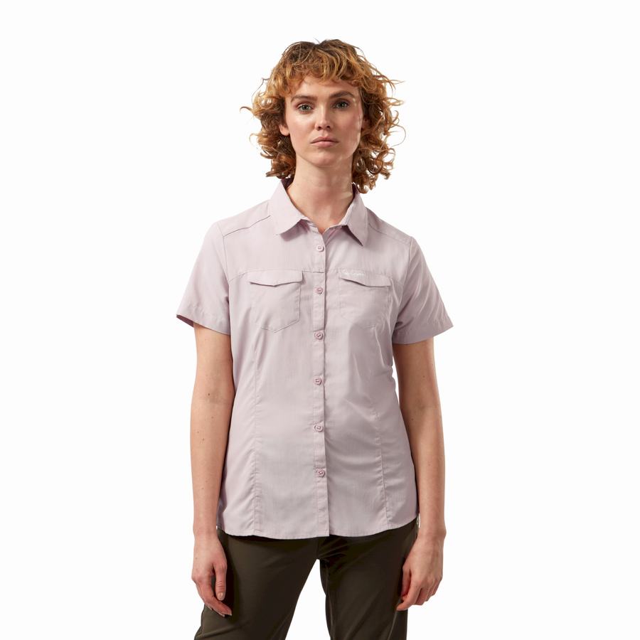 Women's Craghoppers NosiLife Adventure II Short Sleeved Shirts Purple | DDL5318MO