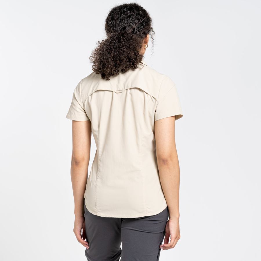 Women's Craghoppers NosiLife Adventure II Short Sleeved Shirts Brown | MPP4037PB