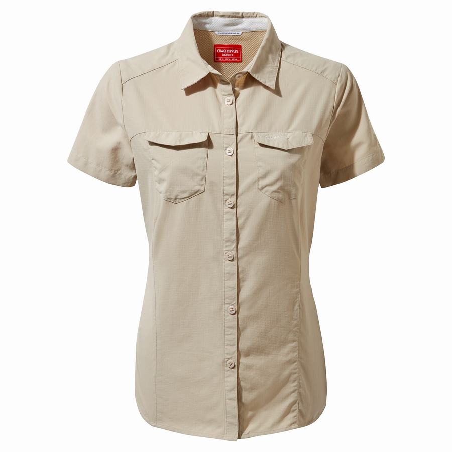 Women's Craghoppers NosiLife Adventure II Short Sleeved Shirts Brown | MPP4037PB