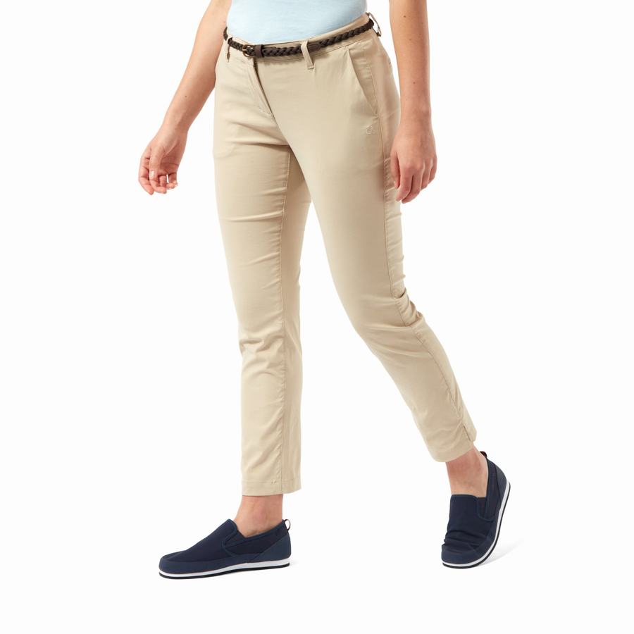 Women\'s Craghoppers NosiLife Briar Trousers Brown | CPN8268IP