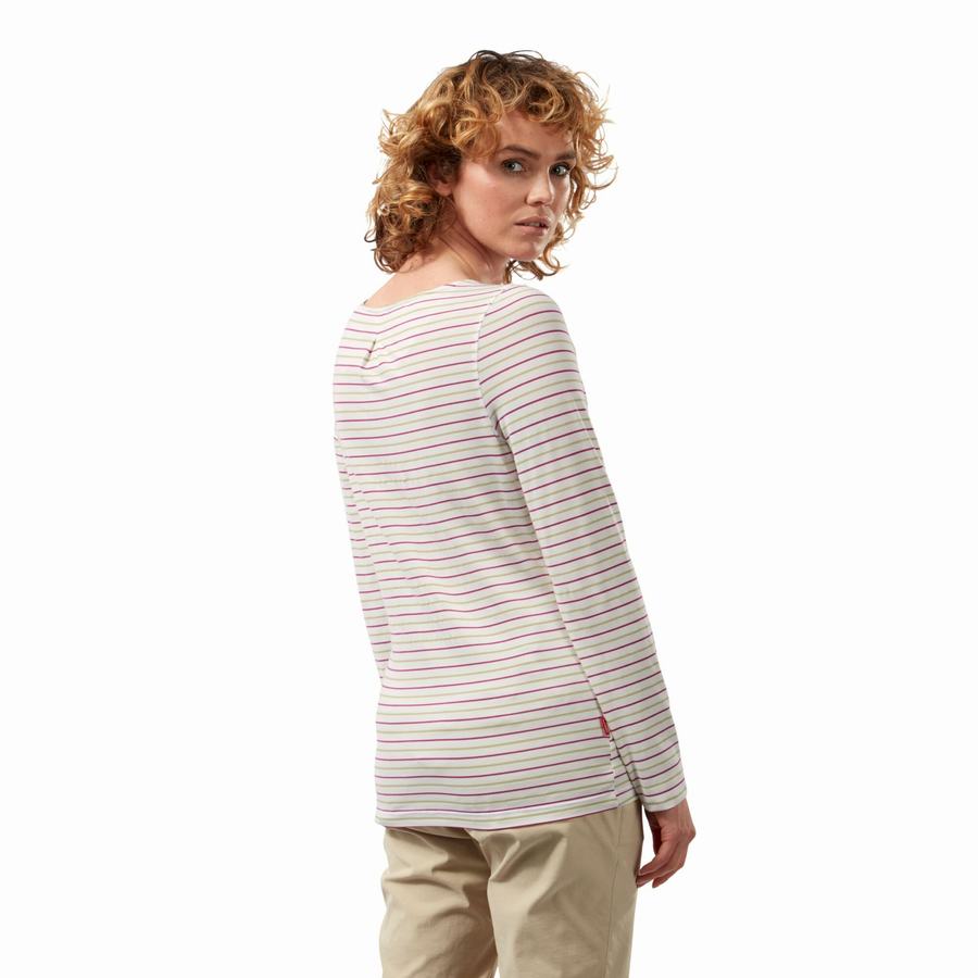 Women's Craghoppers NosiLife Erin Long Sleeved T-Shirts Light Green Stripes | PUT3541ZT