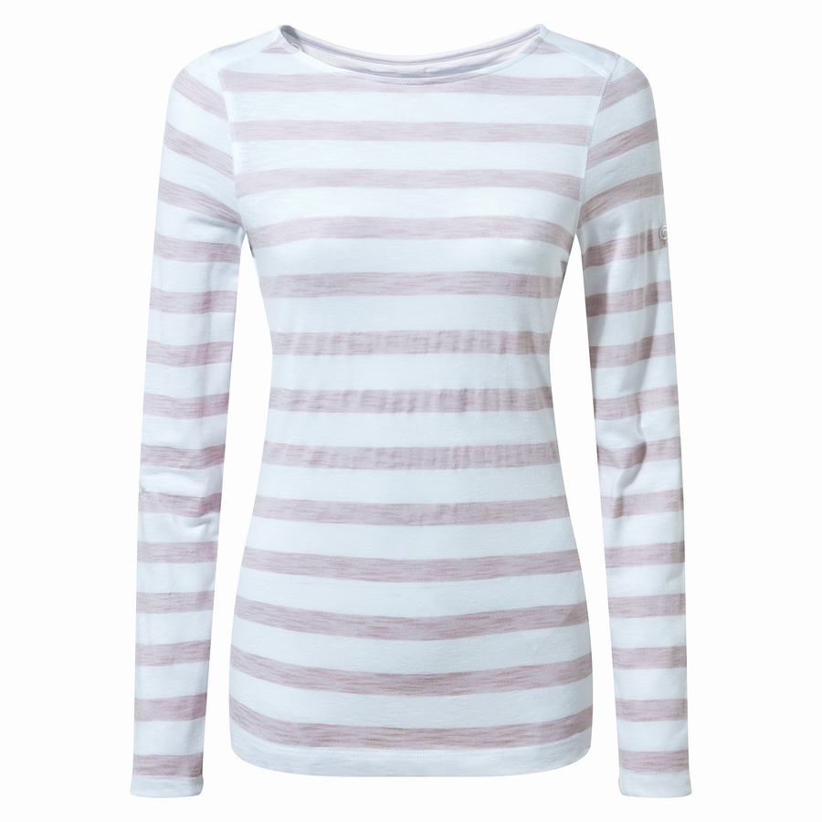 Women's Craghoppers NosiLife Erin Long Sleeved T-Shirts Purple Stripes | YNN4721VN