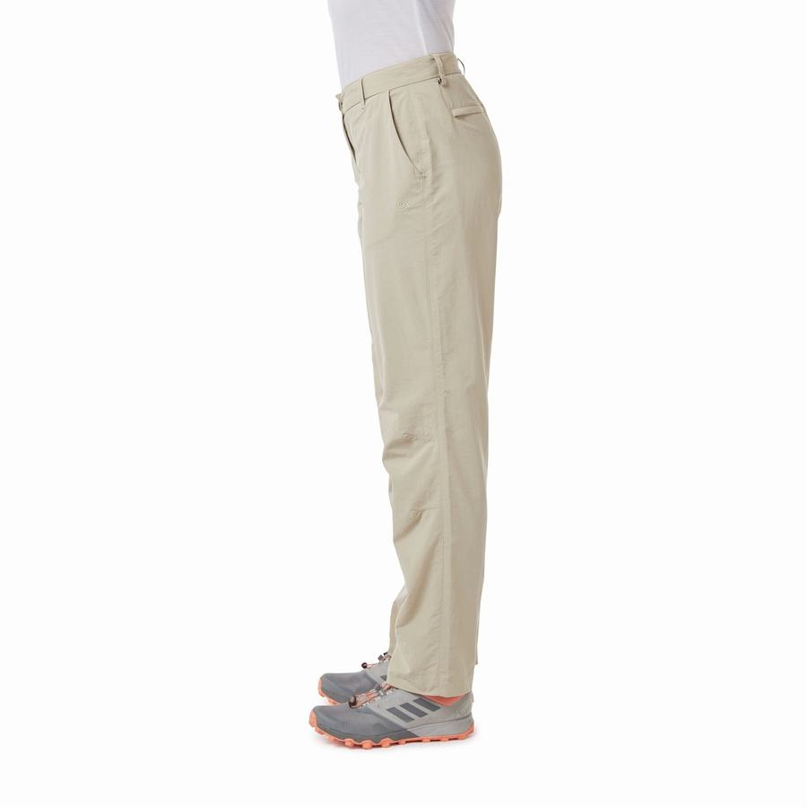 Women's Craghoppers NosiLife III Trousers Brown | CRI6832GQ