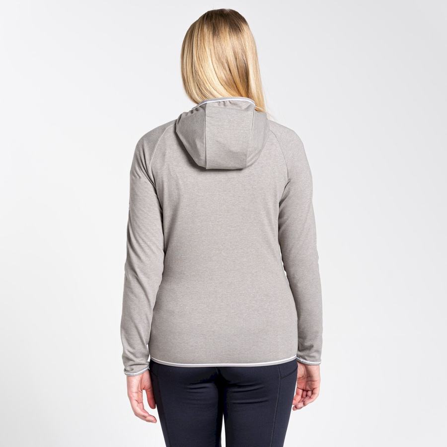 Women's Craghoppers NosiLife Milanta Hooded T-Shirts Grey | THR6016NB