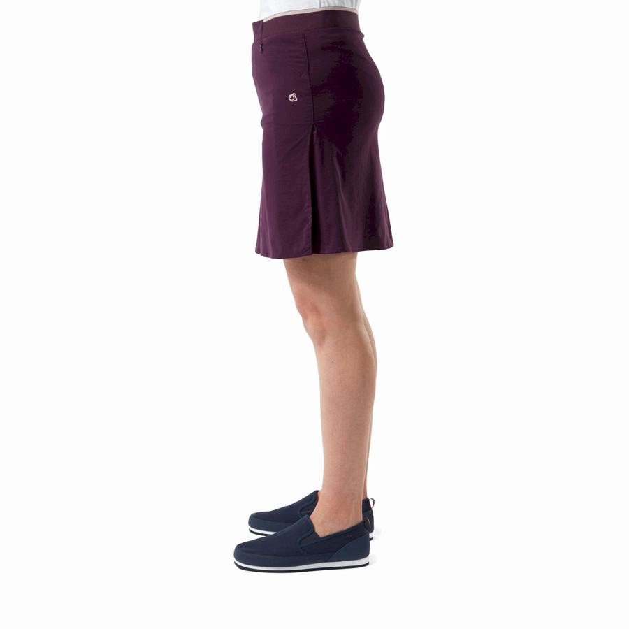 Women's Craghoppers NosiLife Pro Skort Shorts Purple | CVT226EV