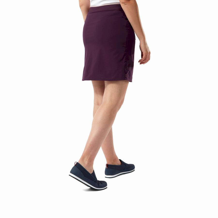 Women's Craghoppers NosiLife Pro Skort Shorts Purple | CVT226EV