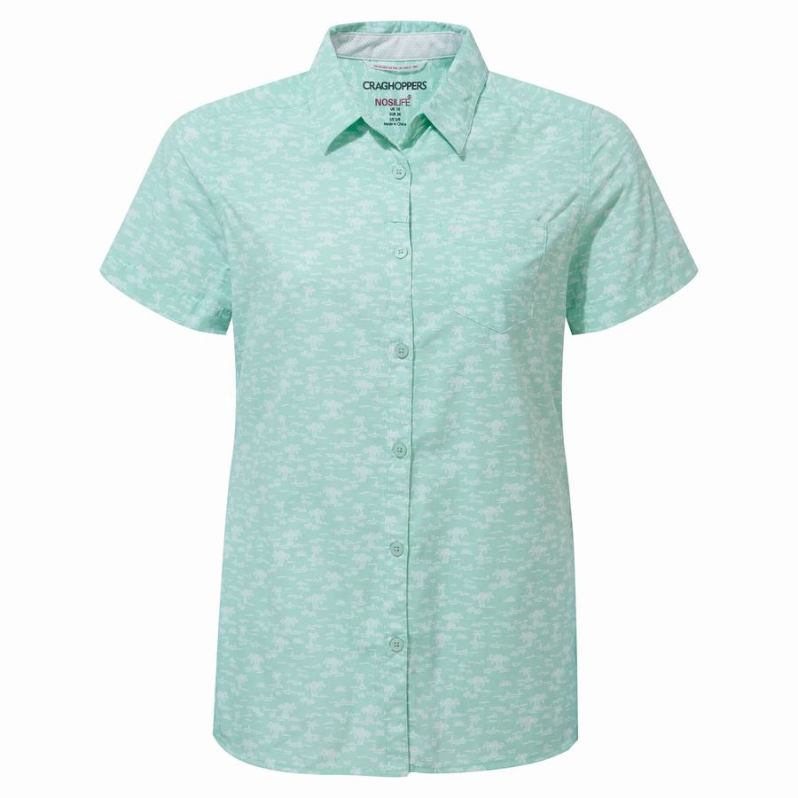 Women's Craghoppers NosiLife Tillia Short Sleeved Shirts Green | WCK9580TL