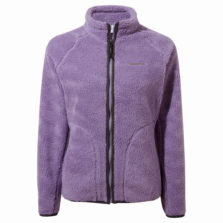 Women's Craghoppers Salara Jackets Purple | BKM8463WF