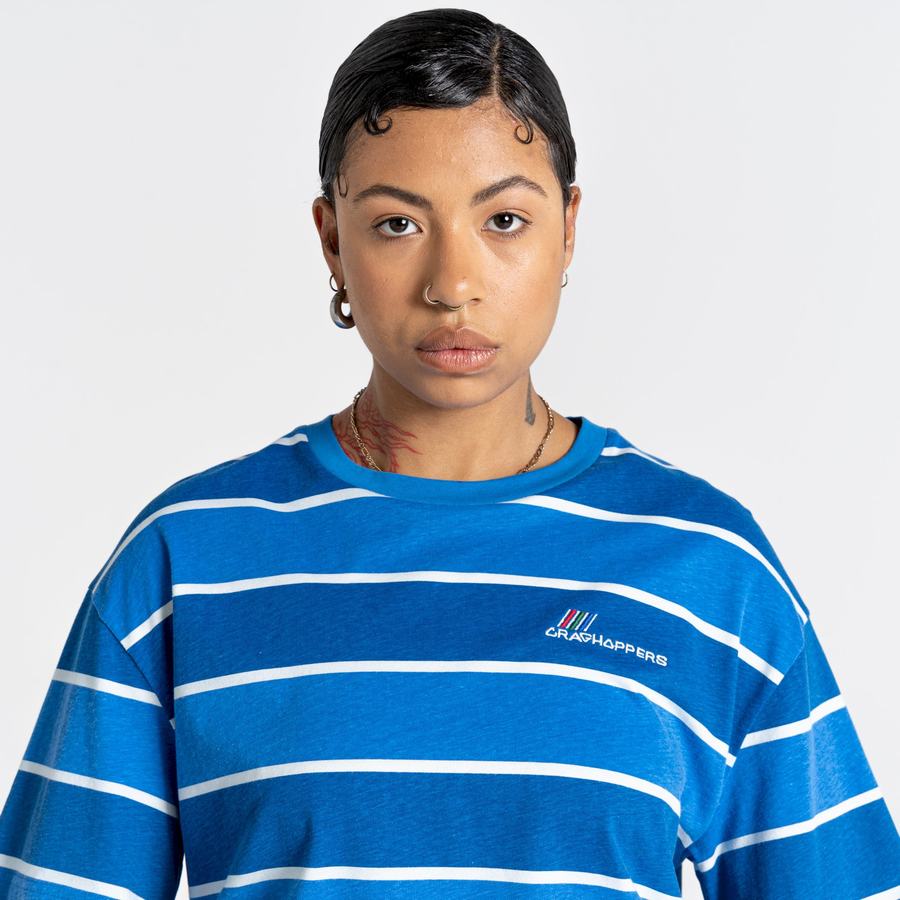 Women's Craghoppers Ventura Short Sleeved T-Shirts Blue Stripes | AIP1868TZ